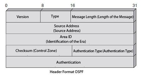 Header Format OSPF